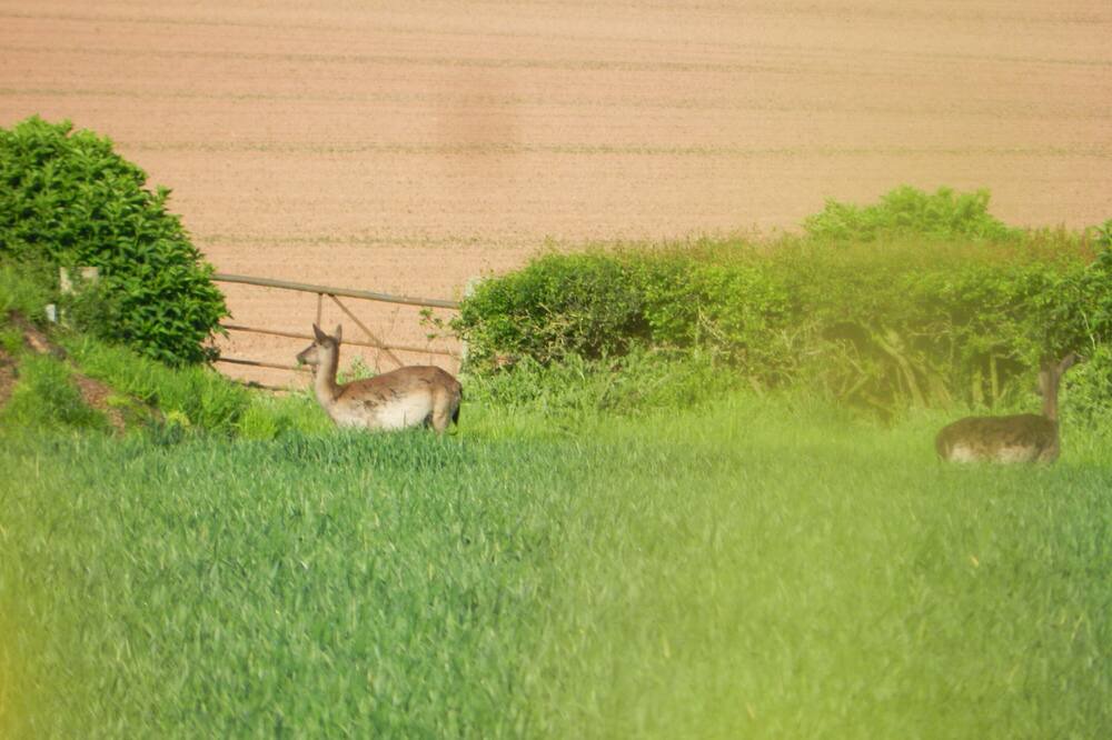 Photo of Others in Hereford