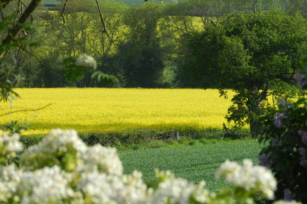 Photo of Others in Hereford