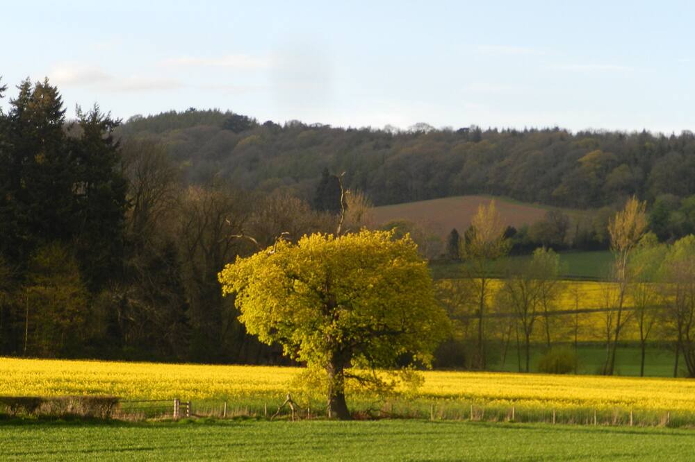 Photo of Others in Hereford