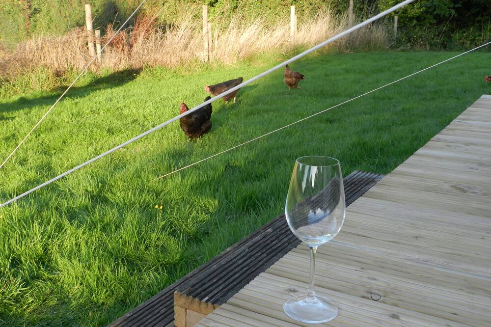 Photo of Others in Hereford