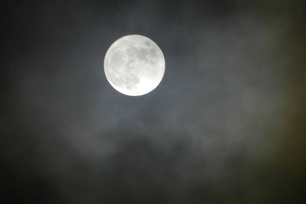 Photo of Others in Hereford