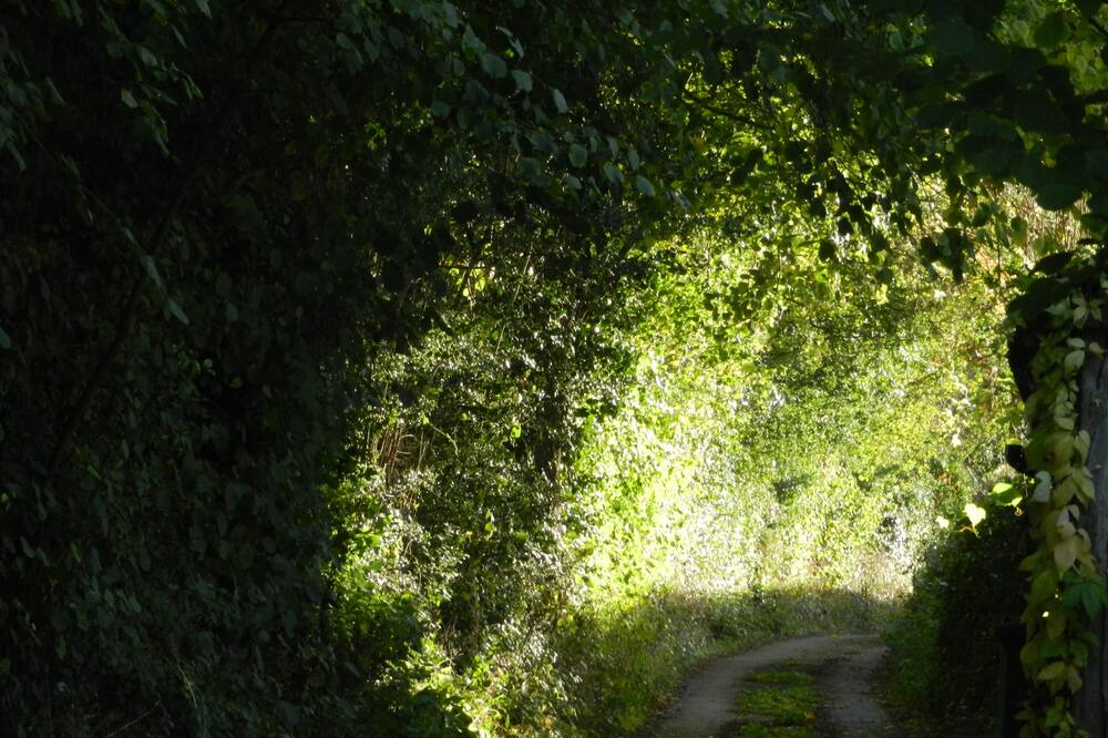 Photo of Others in Hereford