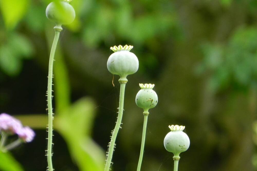 Photo of Others in Hereford