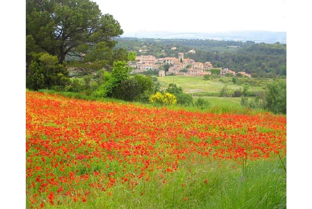 Photo of Outdoor in Aragon