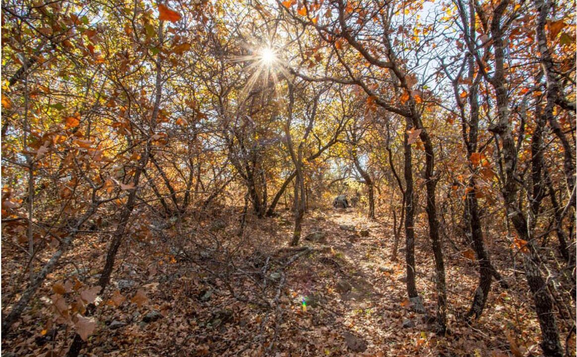 Photo of Outdoor in Cisco