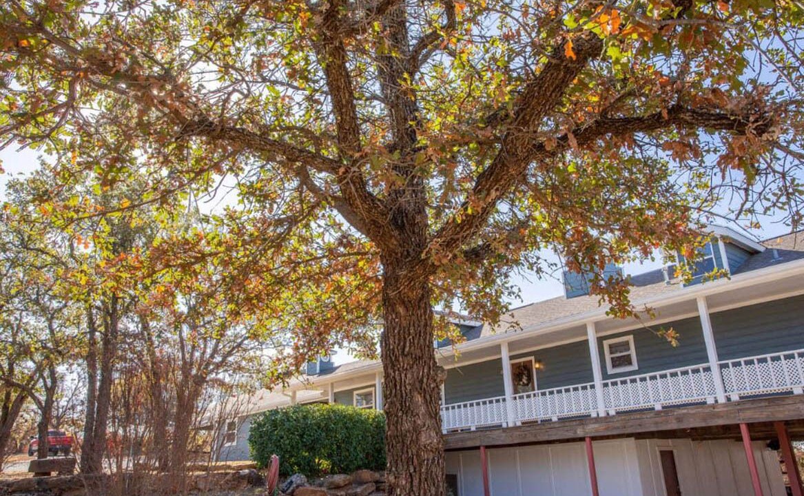 Photo of Outdoor in Cisco