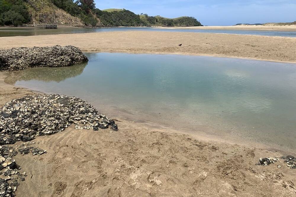 Photo of Others in Whananaki