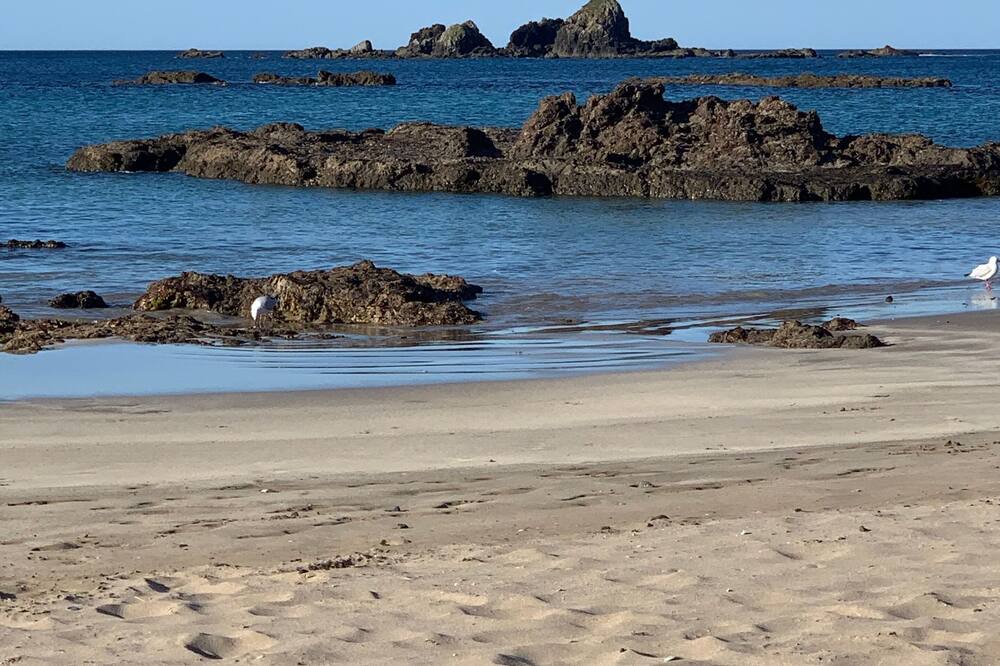 Photo of Others in Whananaki