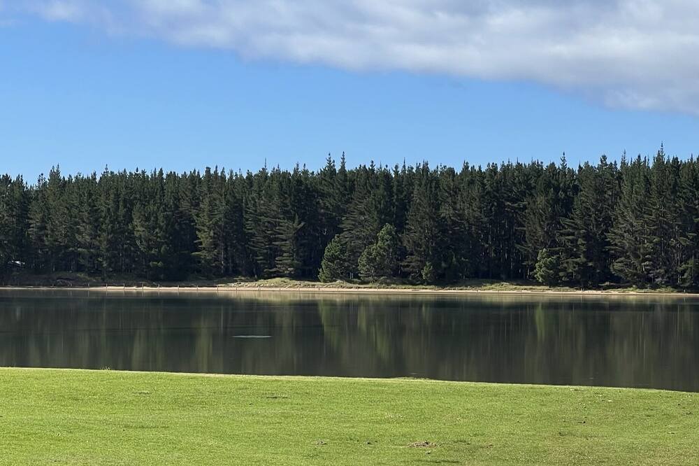 Photo of Others in Whananaki