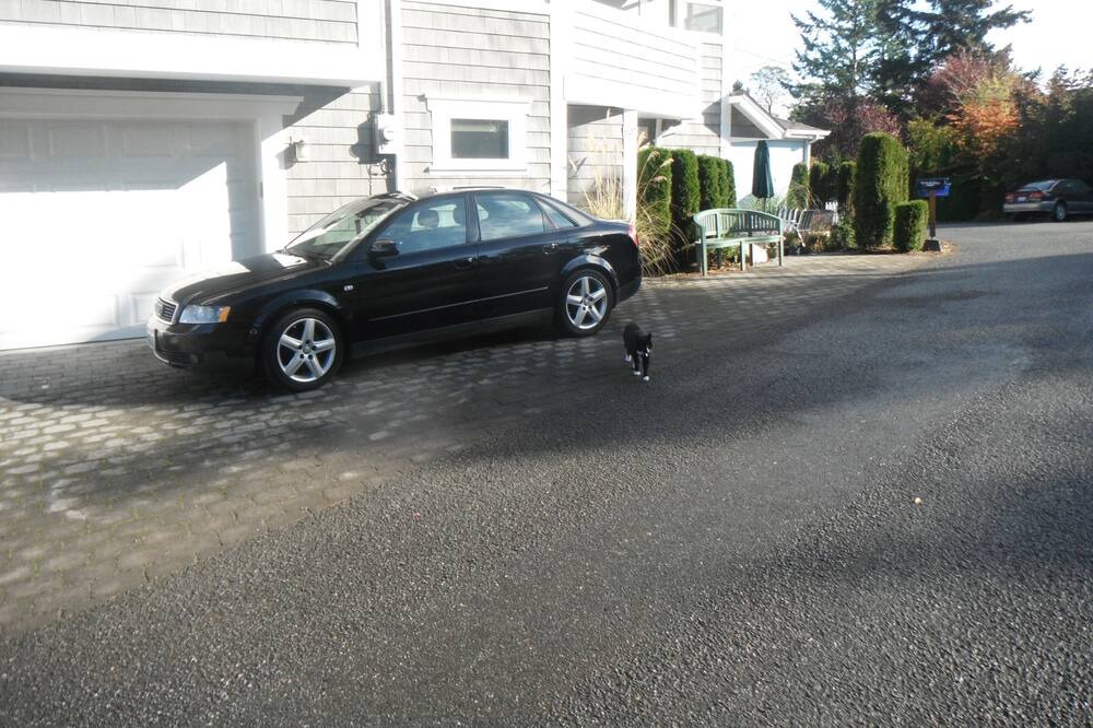 Photo of Others in La Conner