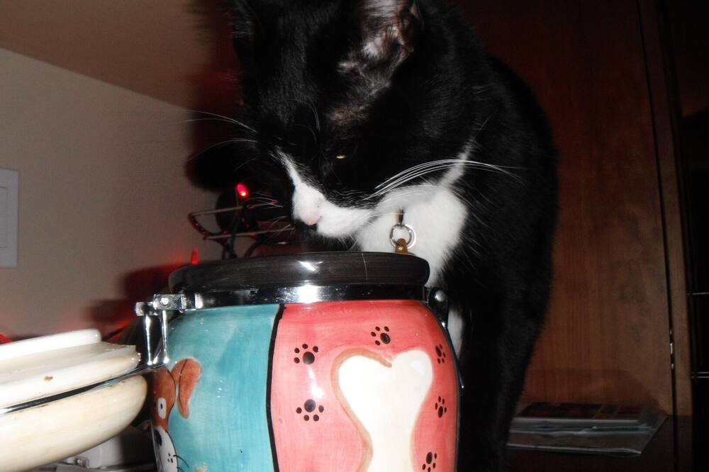 Photo of Others in La Conner