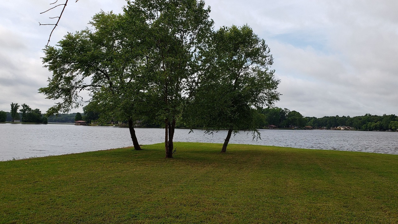 Photo of Outdoor in Murchison