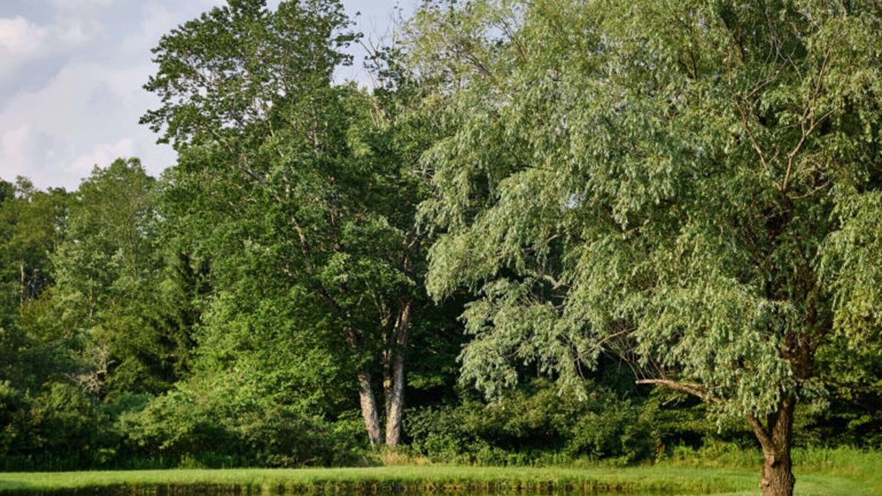 Photo of Outdoor in Callicoon Center