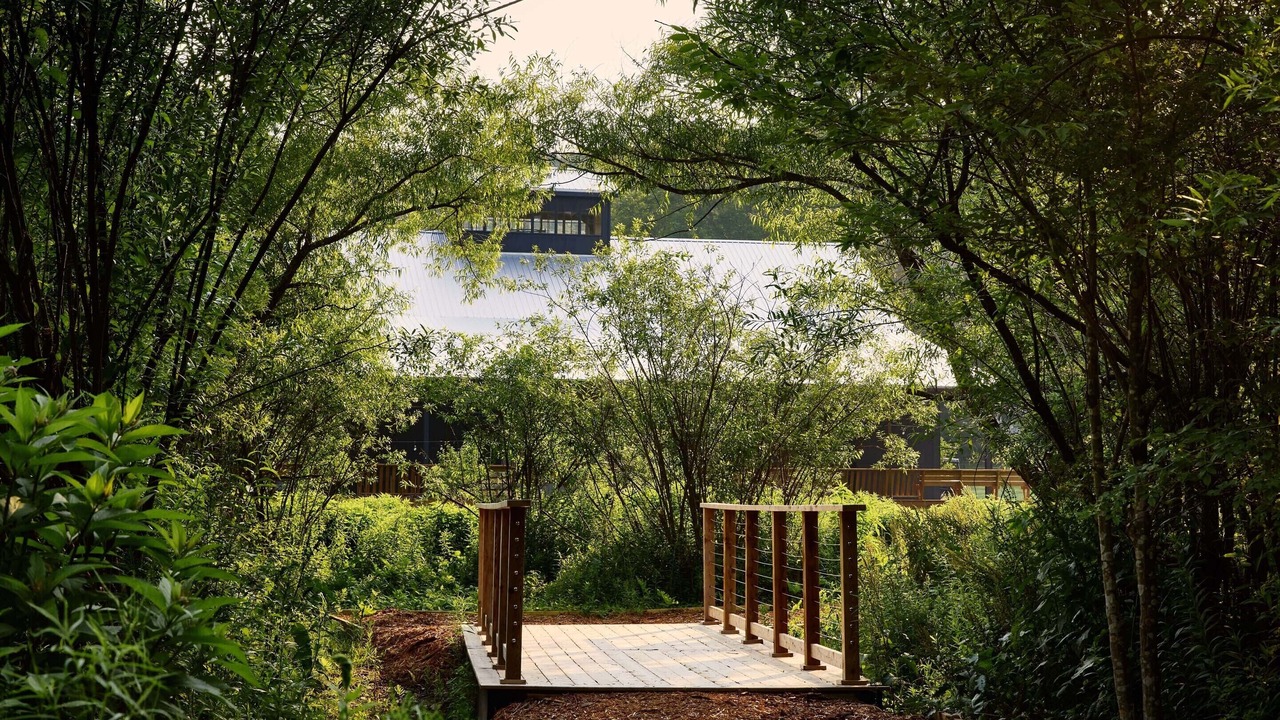Photo of Outdoor in Callicoon Center
