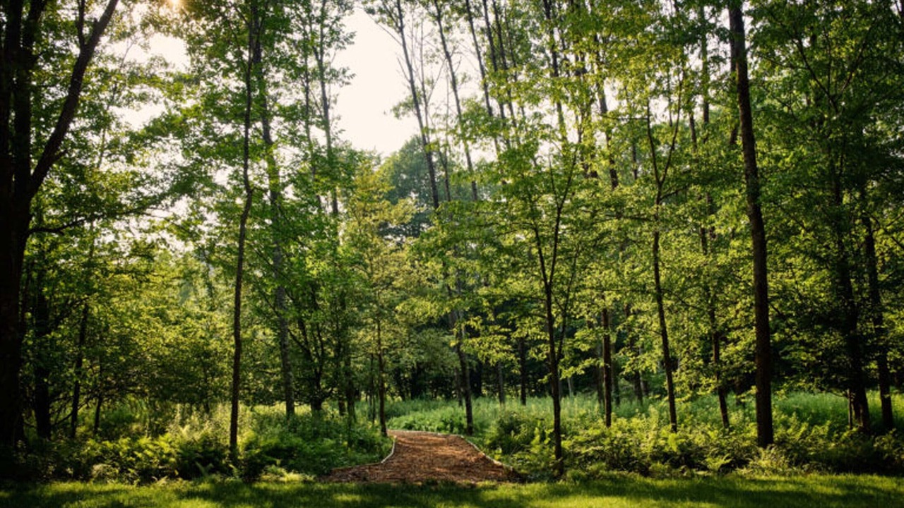 Photo of Outdoor in Callicoon Center