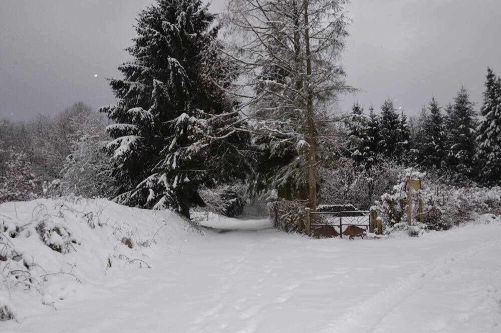 Photo of Others in Les Mazures