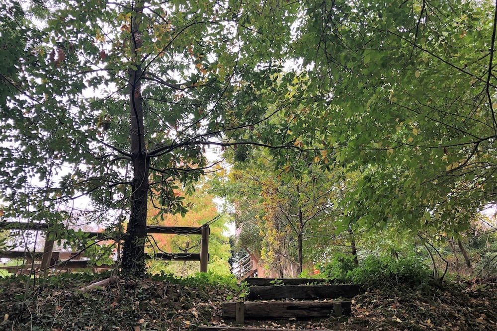 Photo of Outdoor in Vert