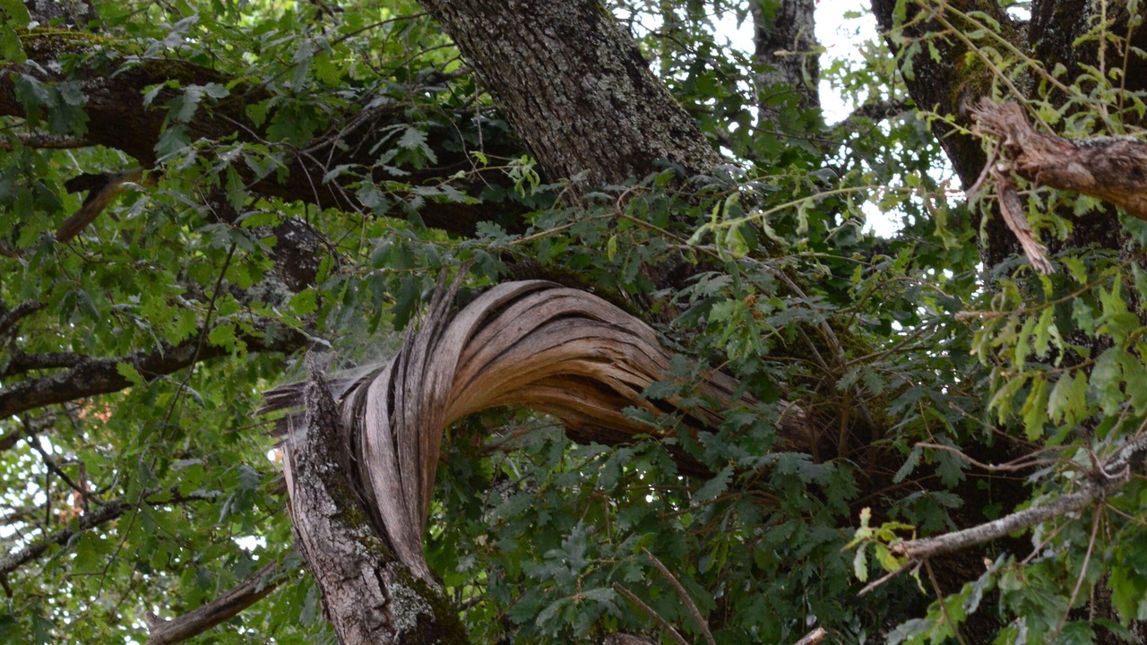 Photo of Outdoor in Saint-Clar