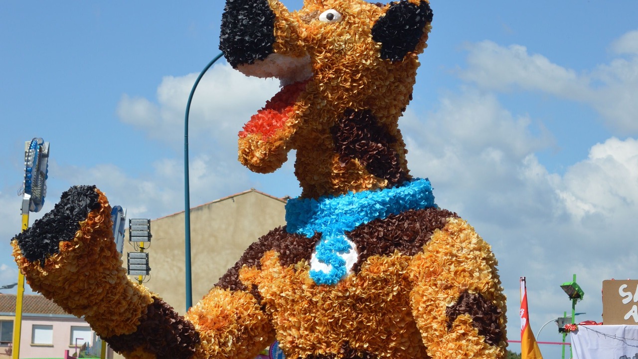 Photo of Outdoor in Saint-Clar