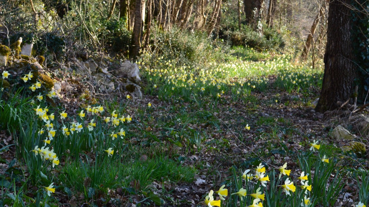 Photo of Outdoor in Saint-Clar