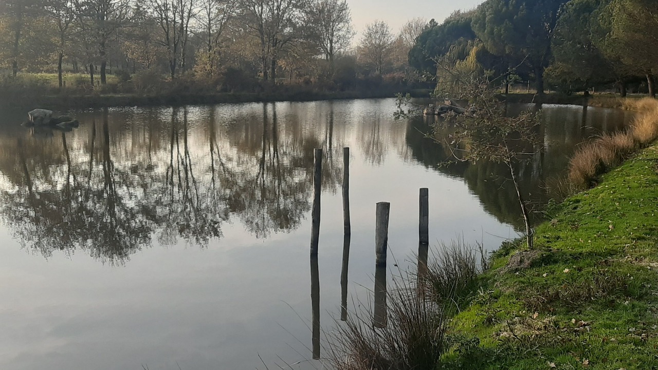 Photo of Outdoor in Aubigny