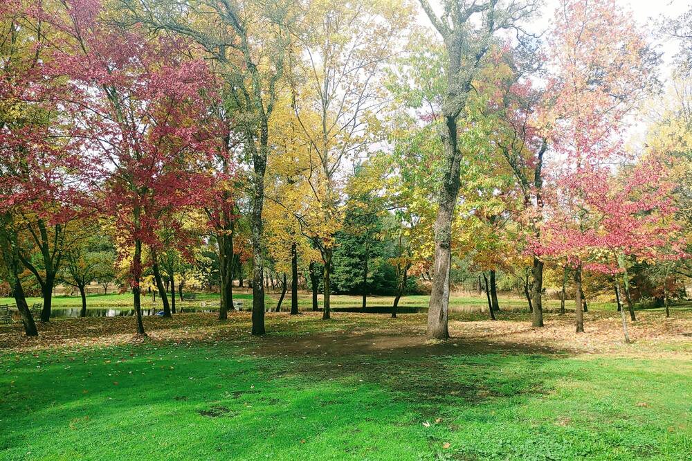 Photo of Outdoor in Granite Bay