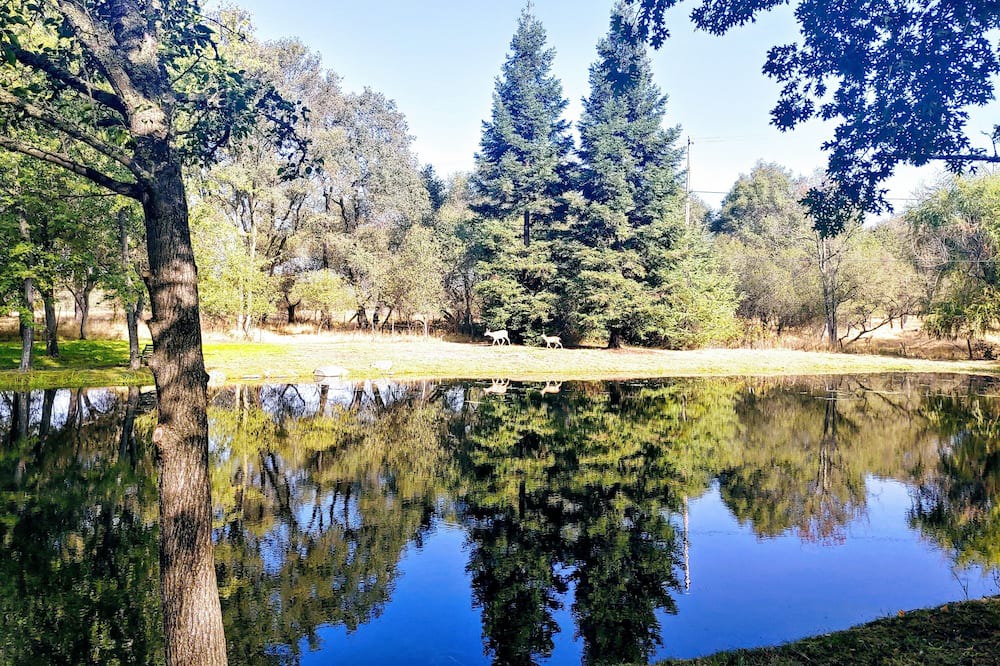Photo of Others in Granite Bay