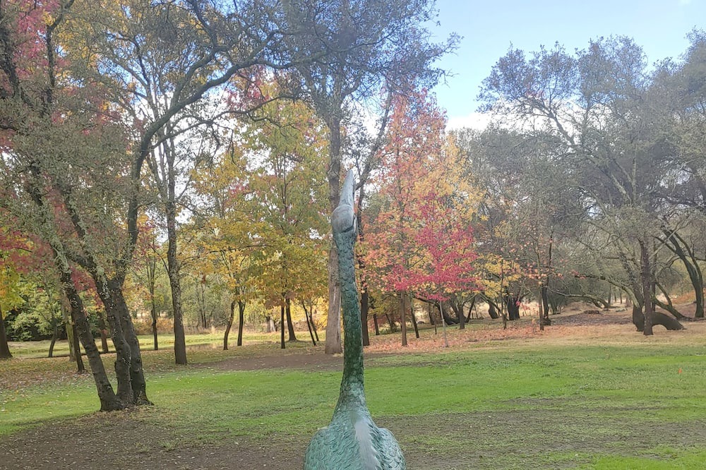 Photo of Outdoor in Granite Bay