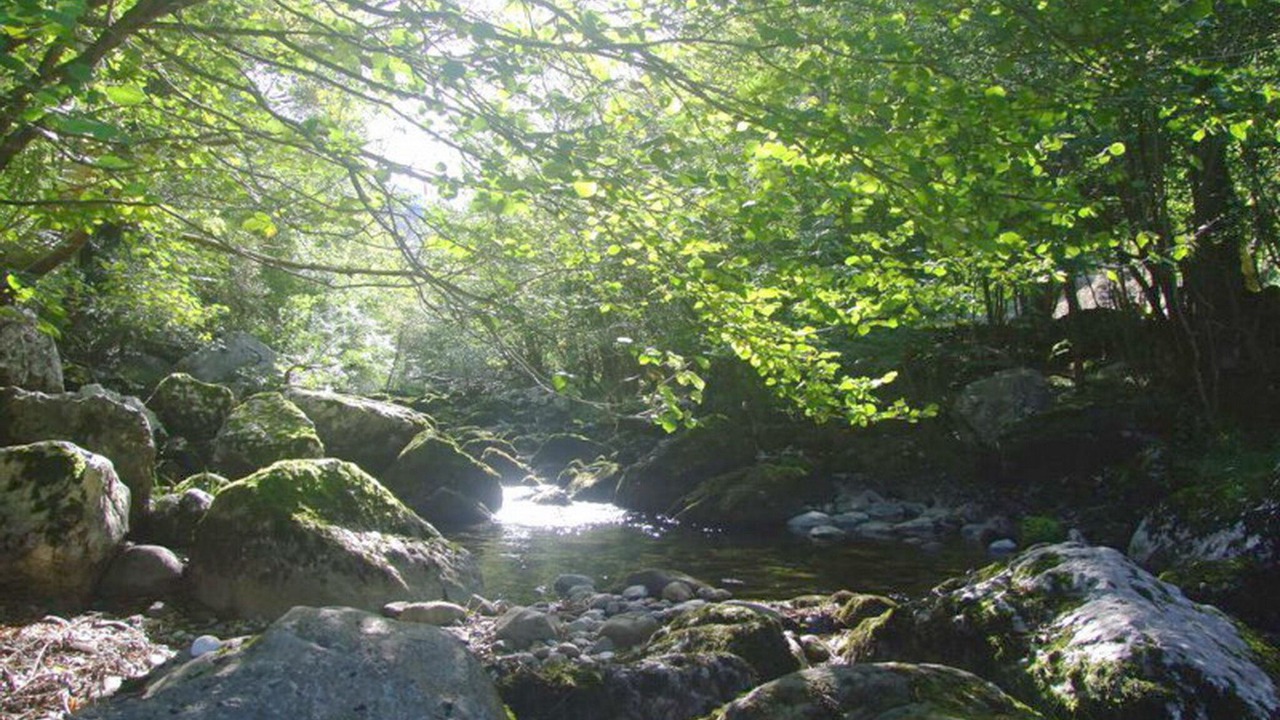 Photo of Outdoor in Soba