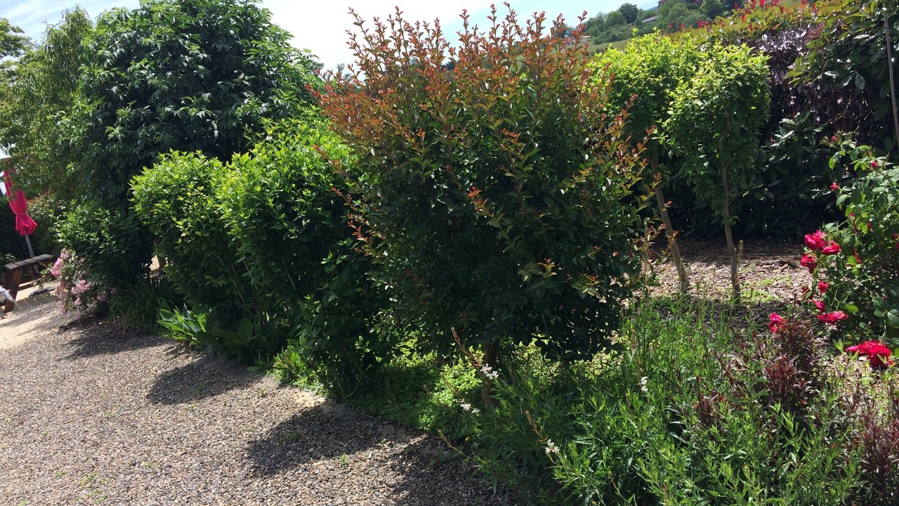 Photo of Outdoor in Cazaubon