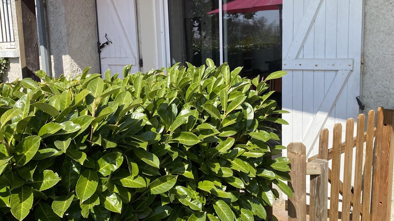 Photo of Outdoor in Cazaubon