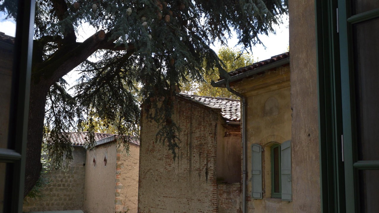 Photo of Others in Lavaur