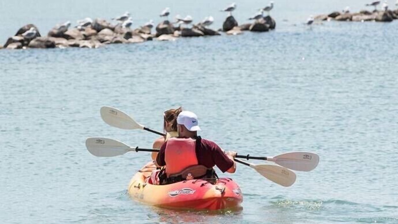 Photo of Others in Canandaigua