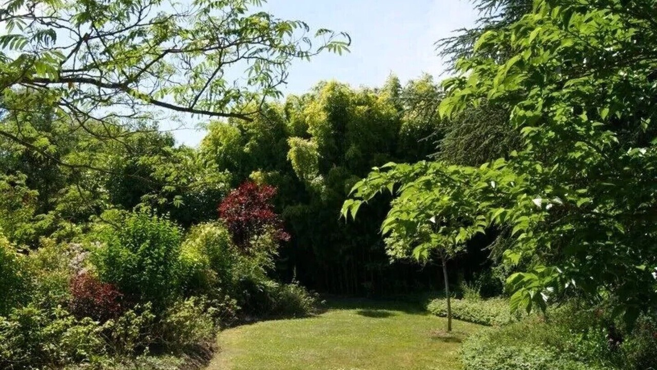 Photo of Outdoor in Cussay