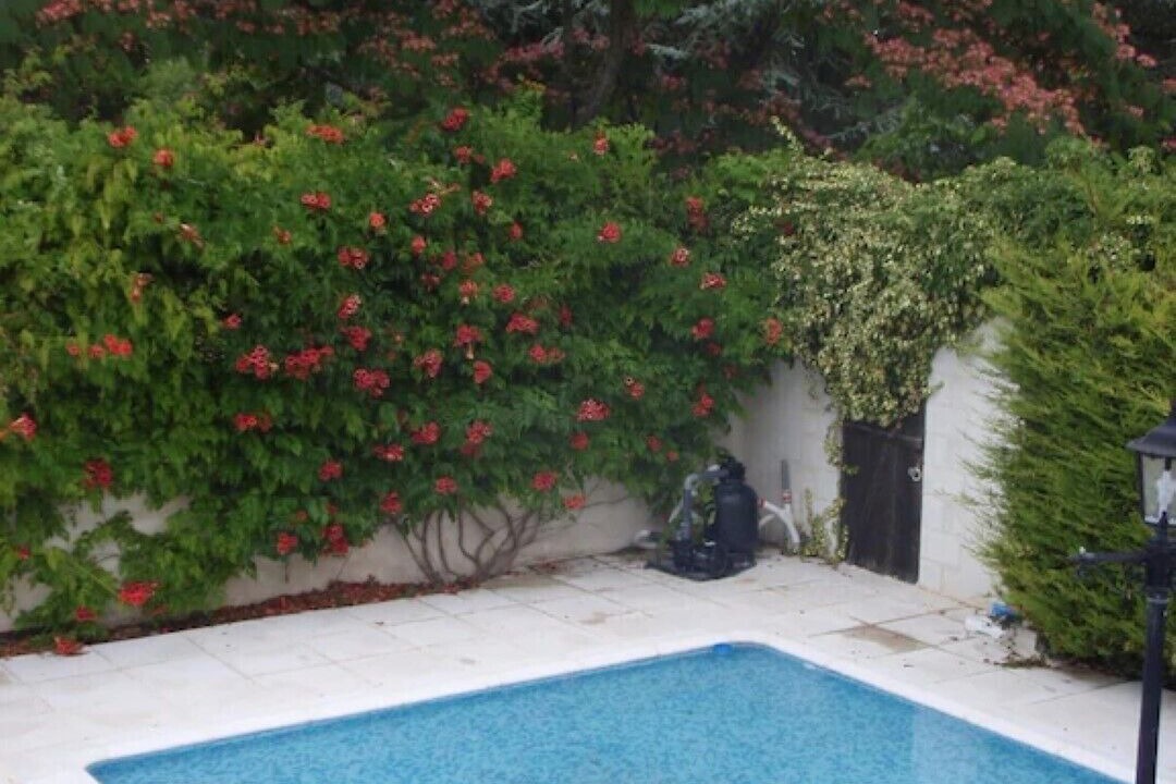 Photo of Outdoor in Cussay