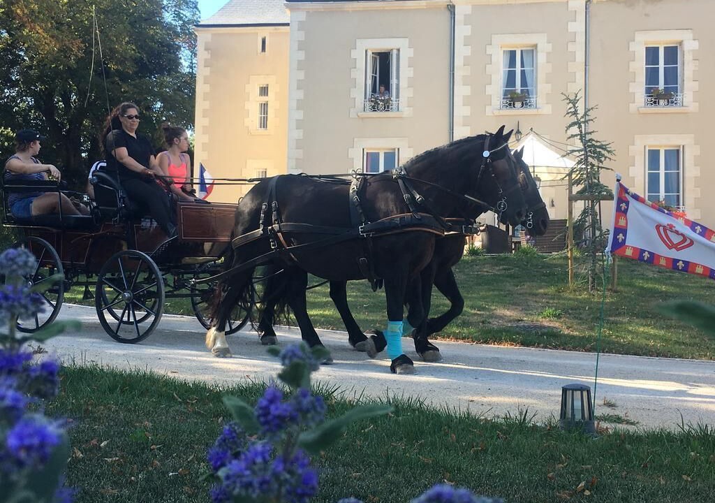 Photo of Outdoor in Mouchamps