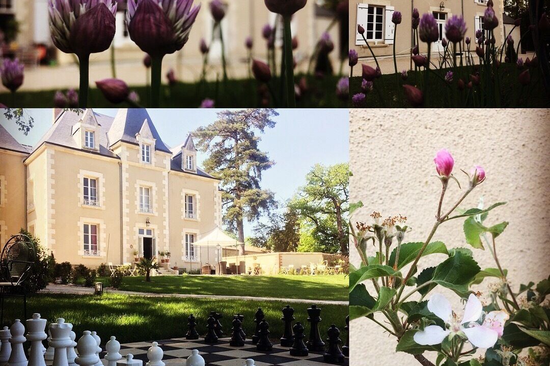 Photo of Outdoor in Mouchamps