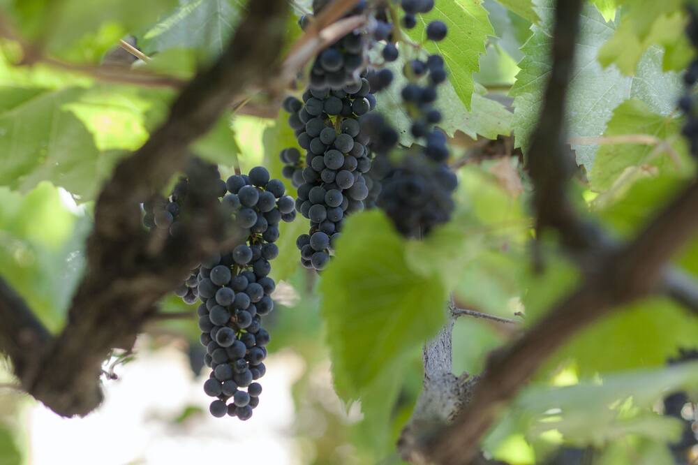 Photo of Outdoor in Choranche