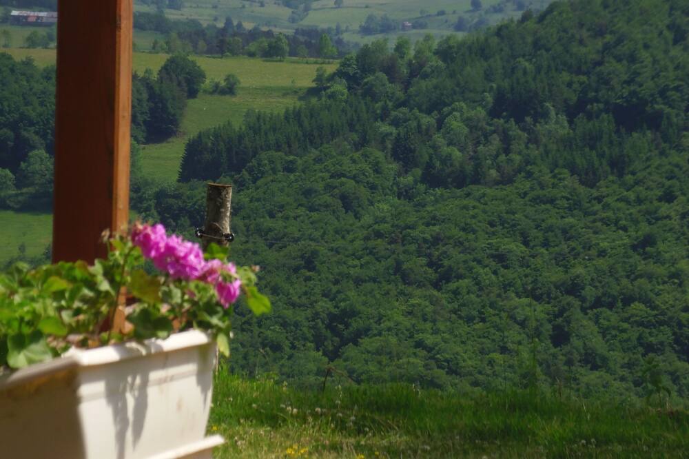 Photo of Outdoor in Montusclat