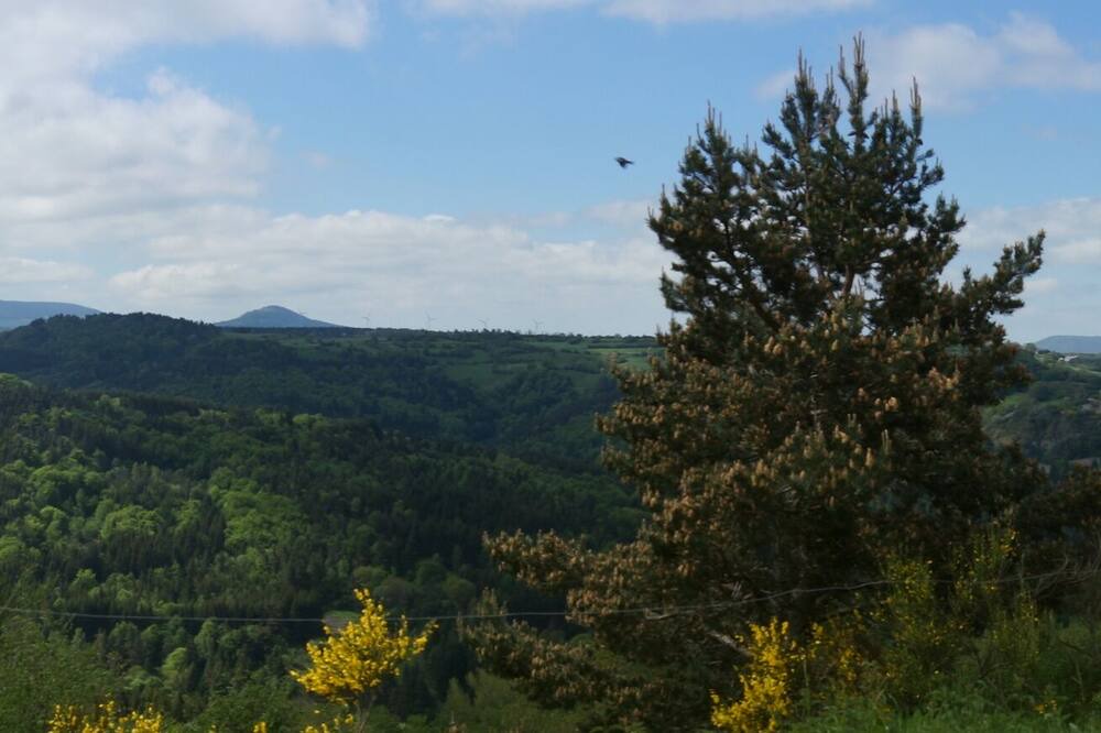 Photo of Outdoor in Montusclat