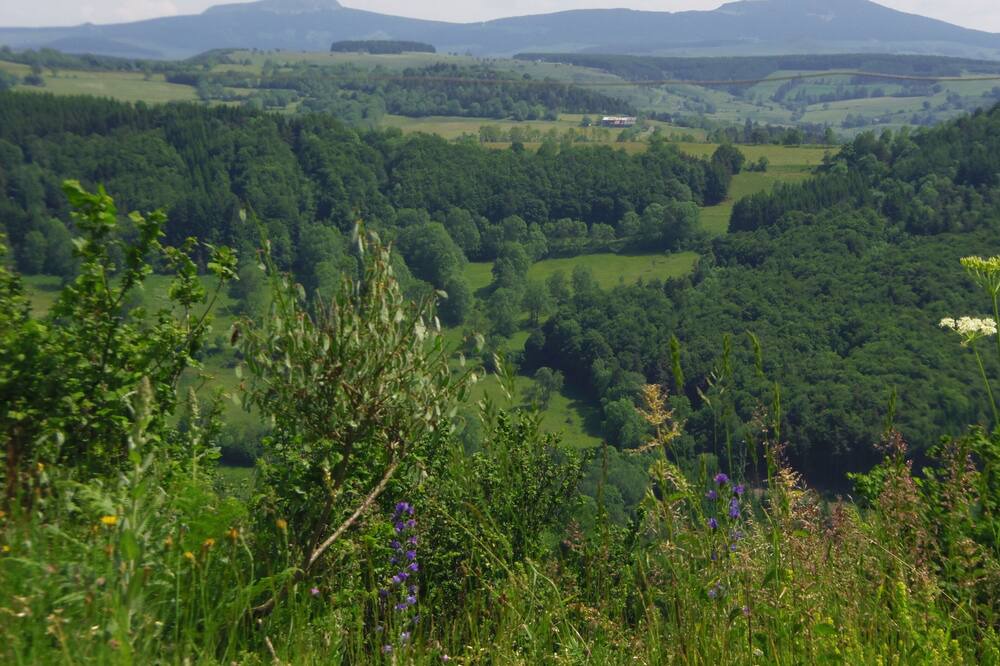 Photo of Outdoor in Montusclat