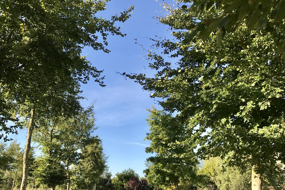 Photo of Outdoor in Longrayez