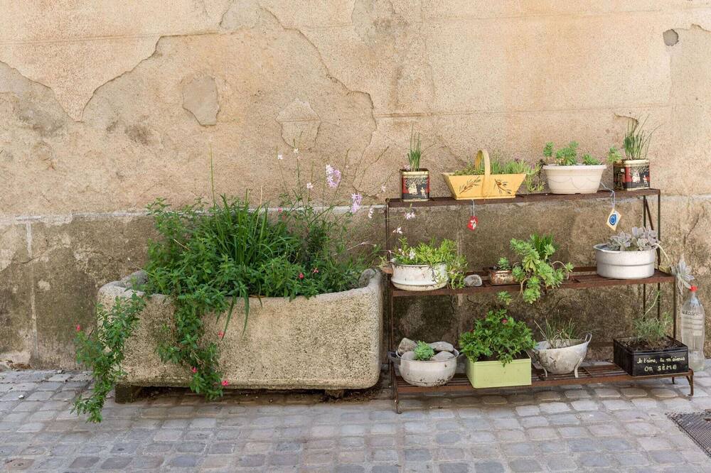 Photo of Others in Bize-Minervois