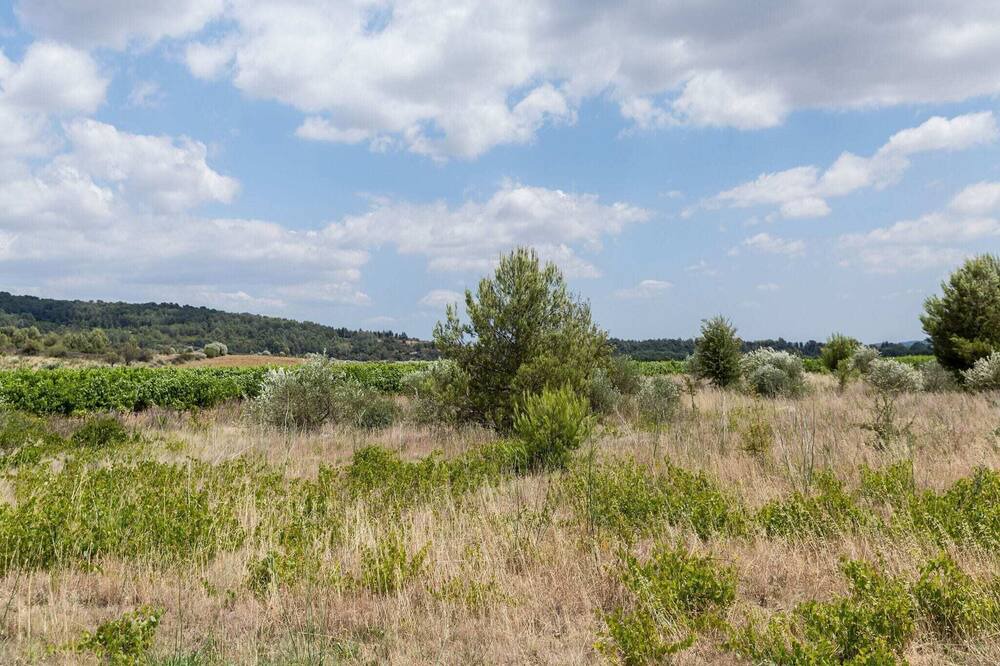 Photo of Others in Bize-Minervois