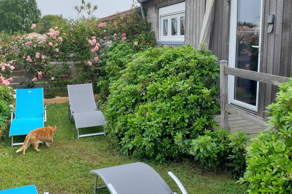 Photo of Outdoor in Saint-Michel-Chef-Chef