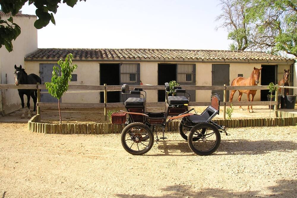 Photo of Others in Villarrobledo
