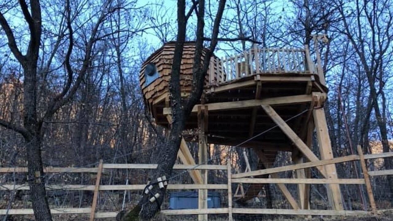 Photo of Outdoor in Belvedere