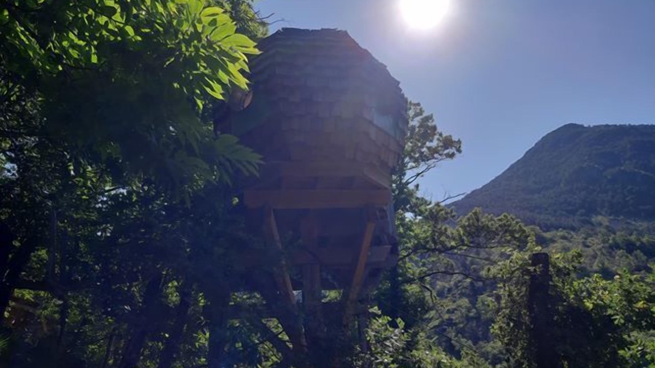 Photo of Outdoor in Belvedere