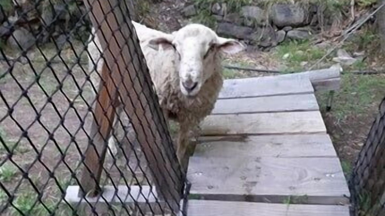 Photo of Outdoor in Belvedere