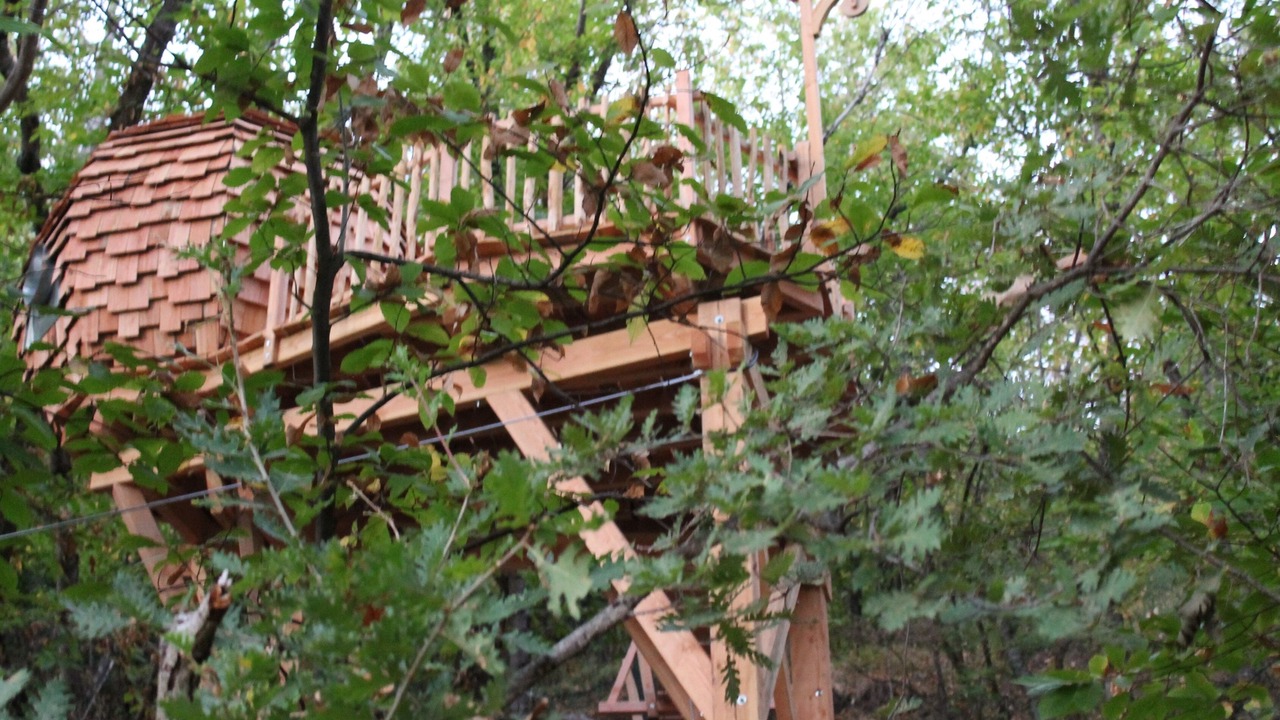 Photo of Outdoor in Belvedere